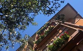 Hotel Moizi